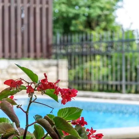 Rustic Marija With Panoramic View In Villa Zrenj